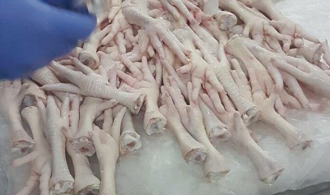 Buy-Brazil-Frozen-Chicken-Feet-003