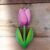 Tulipano rosa/viola neutro